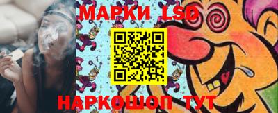стаф Владивосток