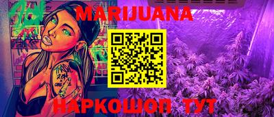 Альфа ПВП Владикавказ