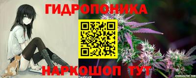 стаф Владивосток