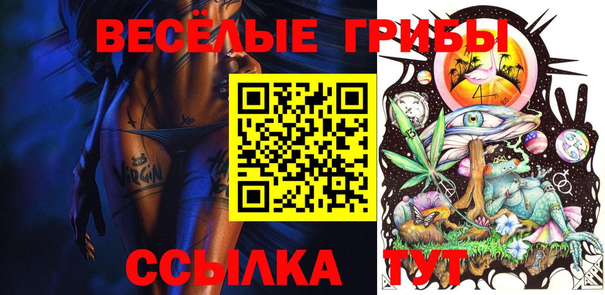 Псилоцибиновые грибы ЛСД  Вход с VPN  Псилоцибиновые грибы GOLDEN TEACHER  Томск 